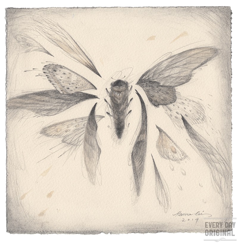 Wings by Rovina Cai