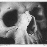 Skull Study 1