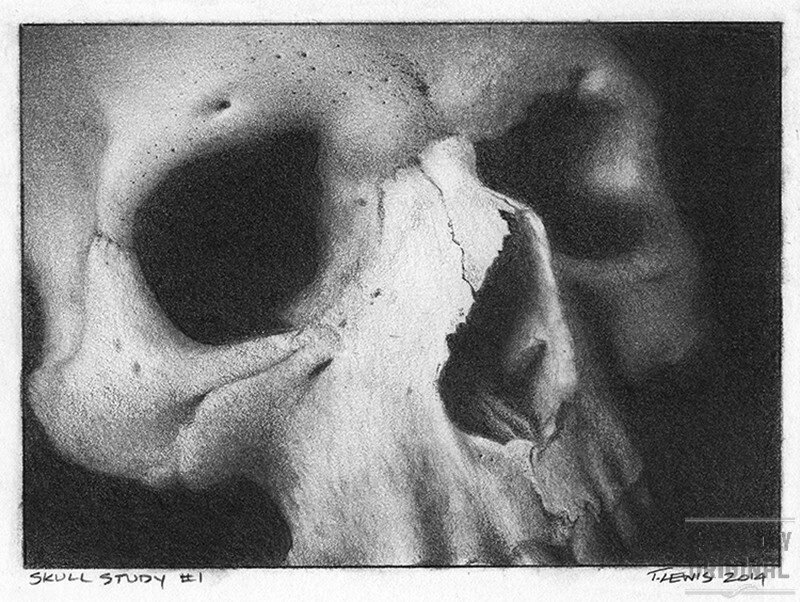 Skull Study 1
