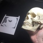 Skull Study #2