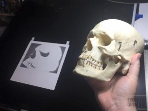 Skull Study #2
