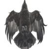 (A) Murder of Crows - Ascension - Image 2