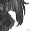 (A) Murder of Crows - Ascension - Image 3