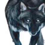 Beneath Savage Skies