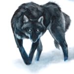 Beneath Savage Skies