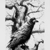 Watcher - Image 2