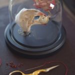 Mixed textile soft-sculpture specimen by Lana Crooks