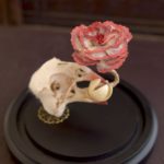 Mixed textile soft-sculpture specimen by Lana Crooks