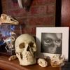 The Watcher - Image 3