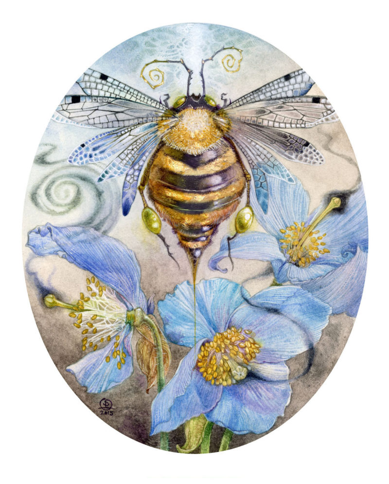 Watercolor painting by Stephanie Law of a bee-like insect among blue poppies