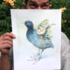 Lute on a Coot