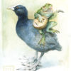 Lute on a Coot - Image 2