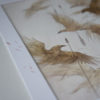 Ten Golden Crows by Rovina Cai
