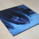 game of thrones, fire and ice, summer, dire wolf, three-eyed crow, bran stark dream