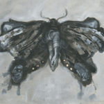 Moth illustration by Jana Heidersdorf