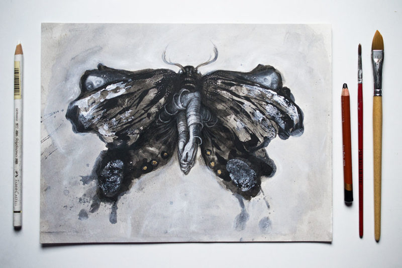 Moth illustration by Jana Heidersdorf