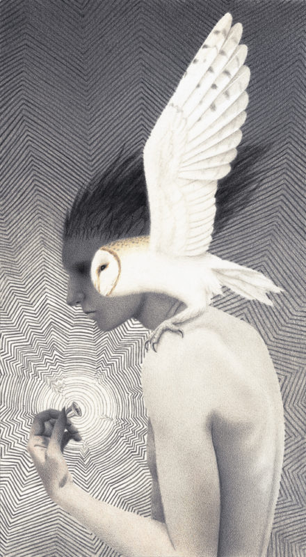 Drawing by Julia Griffin