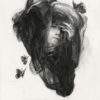 Cocoon Study #2 by Tran Nguyen