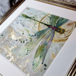 Watercolor painting by Stephanie Law - dragonfly - damselfly - insecta - Glint