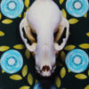 Nature Vs. Nurture 2 - Image 3