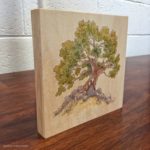 White Hart watercolor on wood by Naomi VanDoren