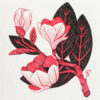 Magnolia II