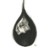 Teardrop
