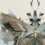 alessandra dzuba assemblage