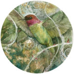 Hummingbird by Stephanie Law