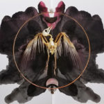 alessandra dzuba assemblage