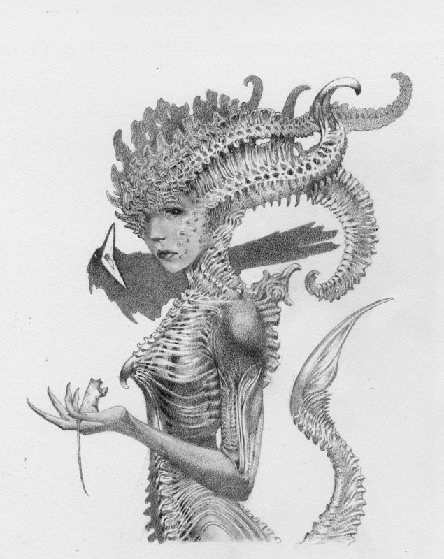 Allen Williams graphite on Stonehenge paper