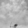 Steadfast