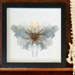 alessandra dzuba assemblage