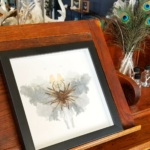 alessandra dzuba assemblage