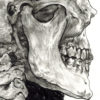 Marrow - Image 3