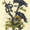Resilience - Image 6