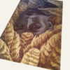FEATHERFALL - Image 2