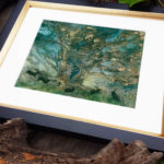 "Shadowplay" by Stephanie Law