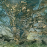 "Shadowplay" by Stephanie Law