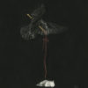 A Shot in the Dark - Image 4