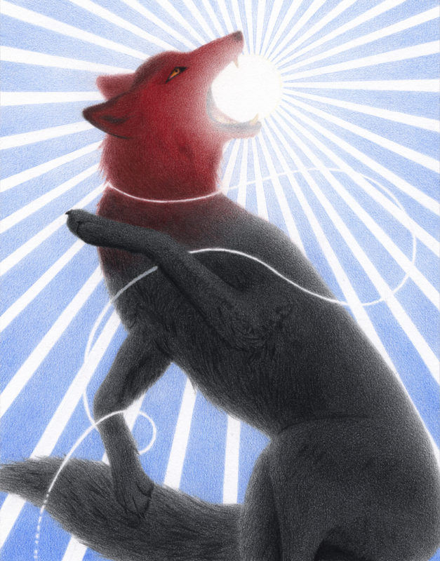 Drawing by Julia Griffin