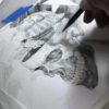 Cranium 3 - Image 2