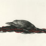 Sorting Through Fate