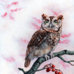 "Screech Owl in Winter" by Erica Lyn Schmidt