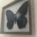 Write a Song, by Adam S Doyle