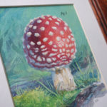 'Super Mushroom' by Primary Hughes