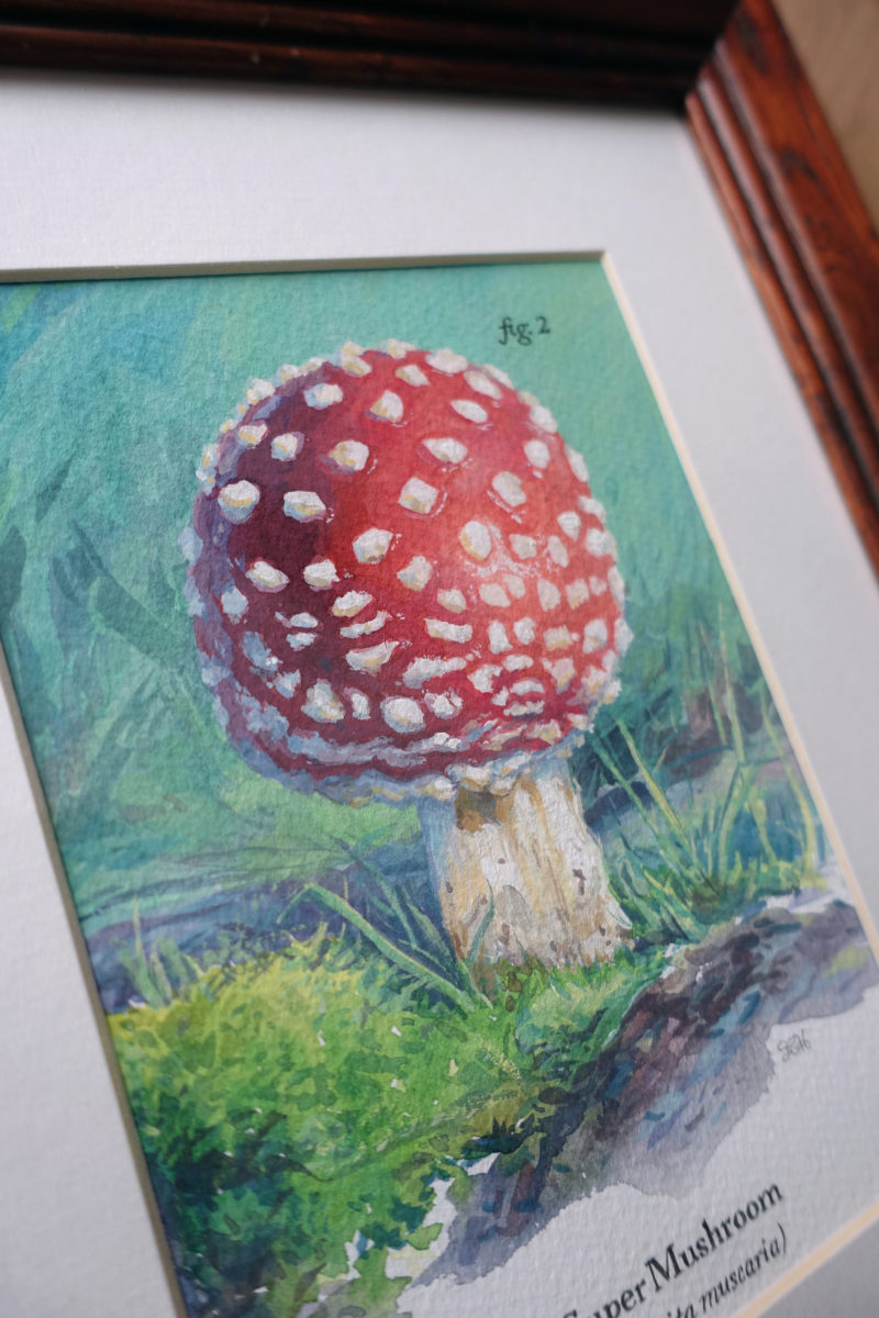 'Super Mushroom' by Primary Hughes