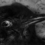 Allen Williams EDO The Eye Thief