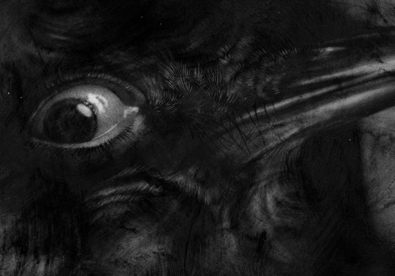 Allen Williams EDO The Eye Thief detail