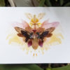 alessandradzuba_orchidsbees
